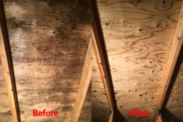 water damage restoration service Society Hill